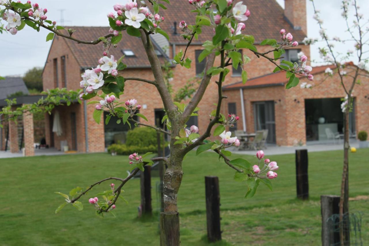 Bed & Breakfast 't Hoogste Bornem